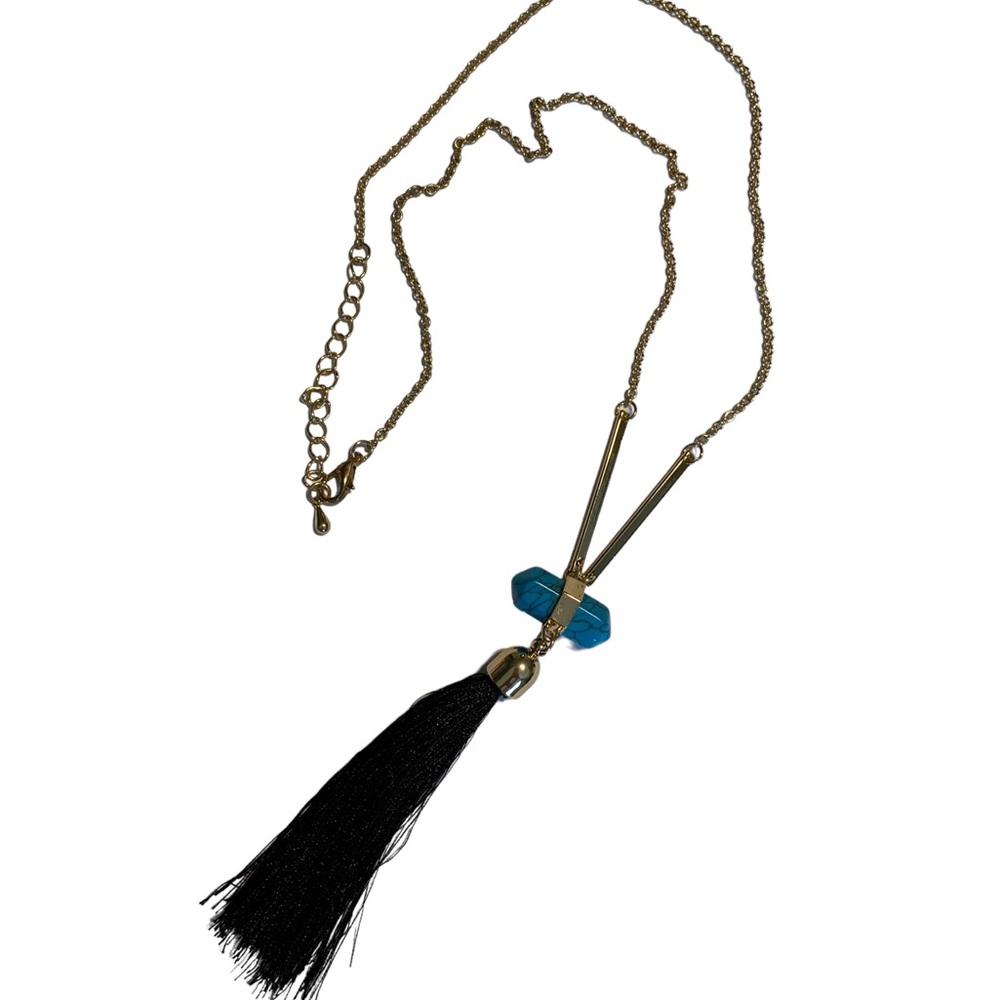 NWOT tassel necklace with turquoise colored howlite stone